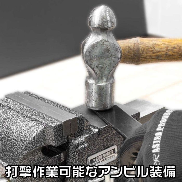 ベンチバイス