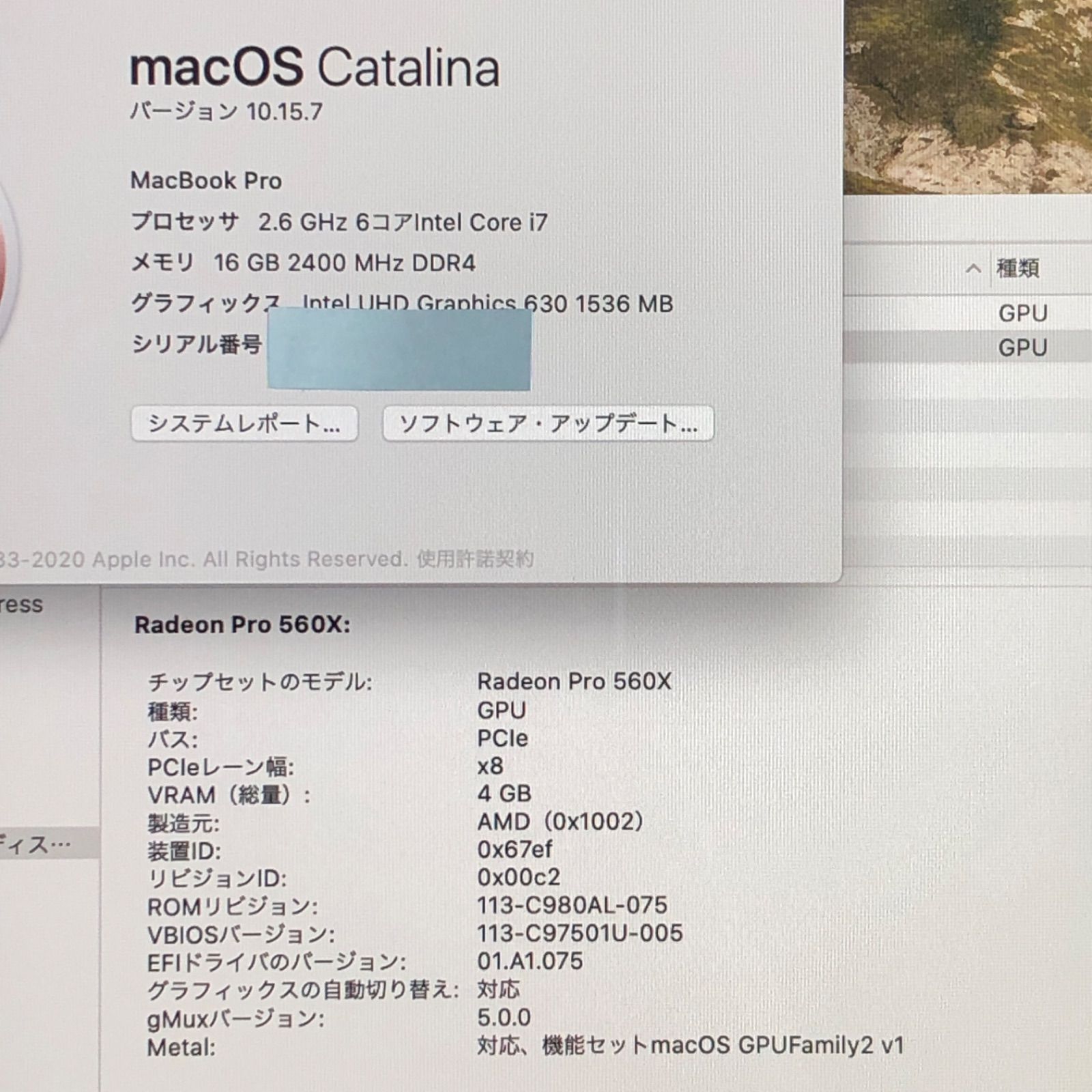 本体のみ】Apple MacBook Pro (15-inch, 2018)【Touch Bar・i7・Radeon