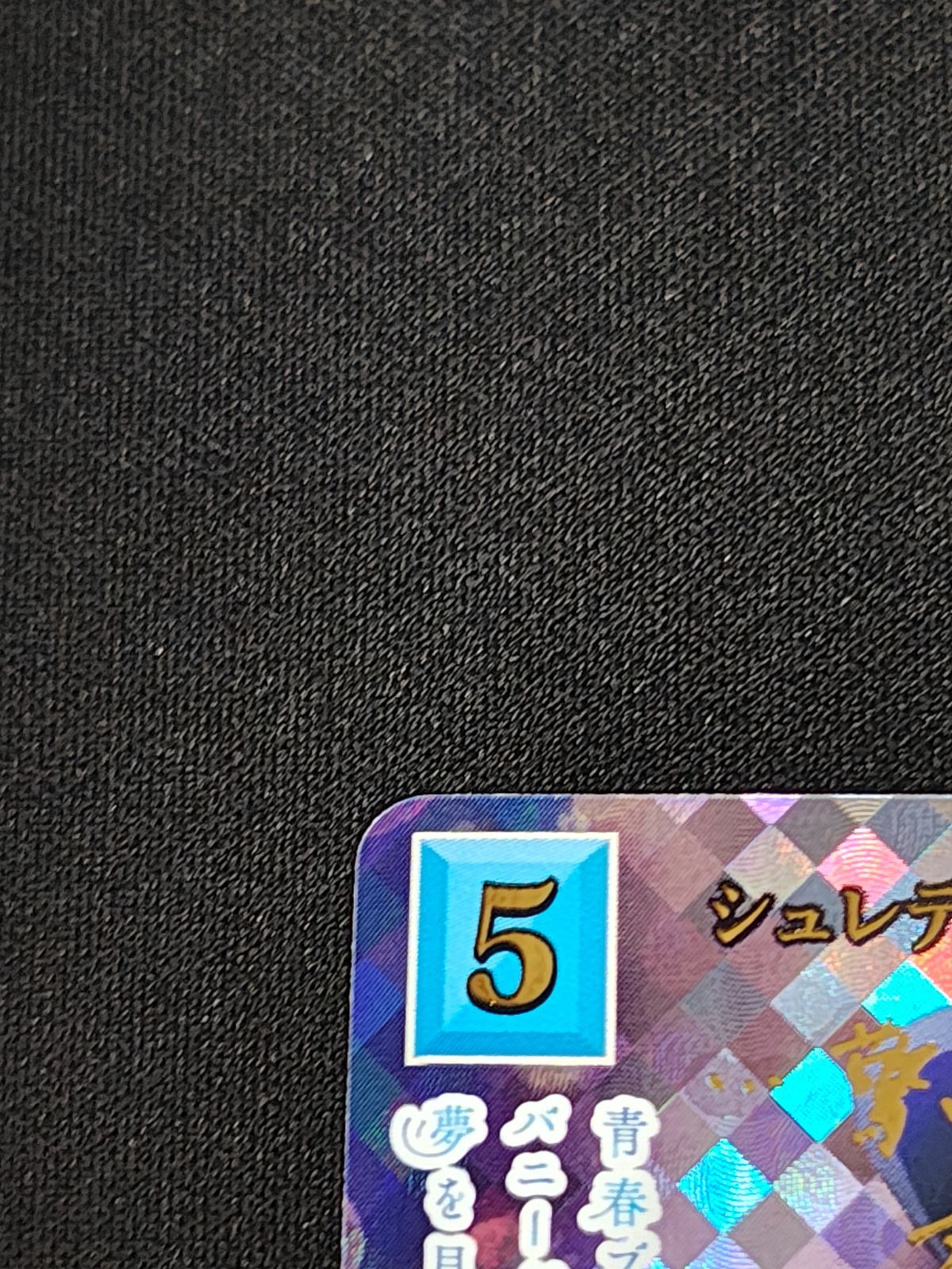 シュレディンガーの兎 桜島麻衣 BR ビルディバイド青ブタ