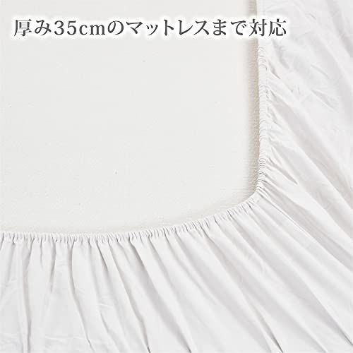 BE3601 ホワイト
