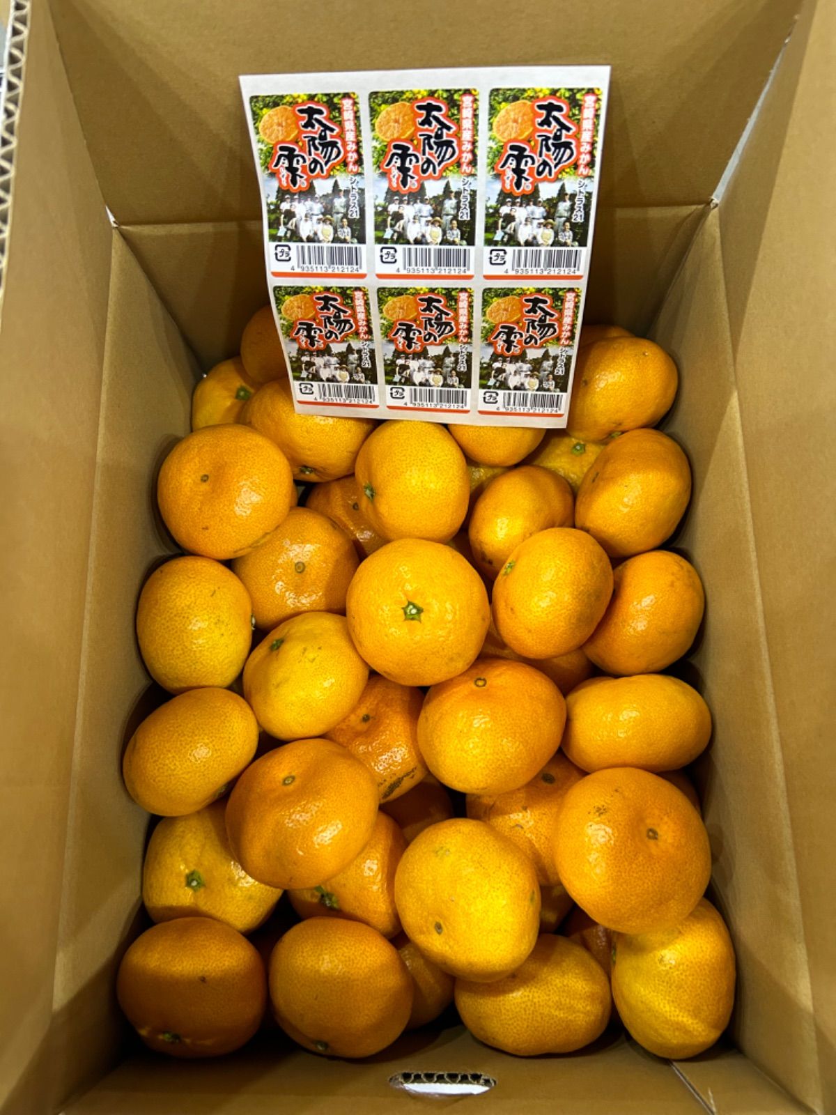 宮崎県産ブランド(シトラス21) 太陽の雫みかん 秀5kM.Sサイズ『みまた