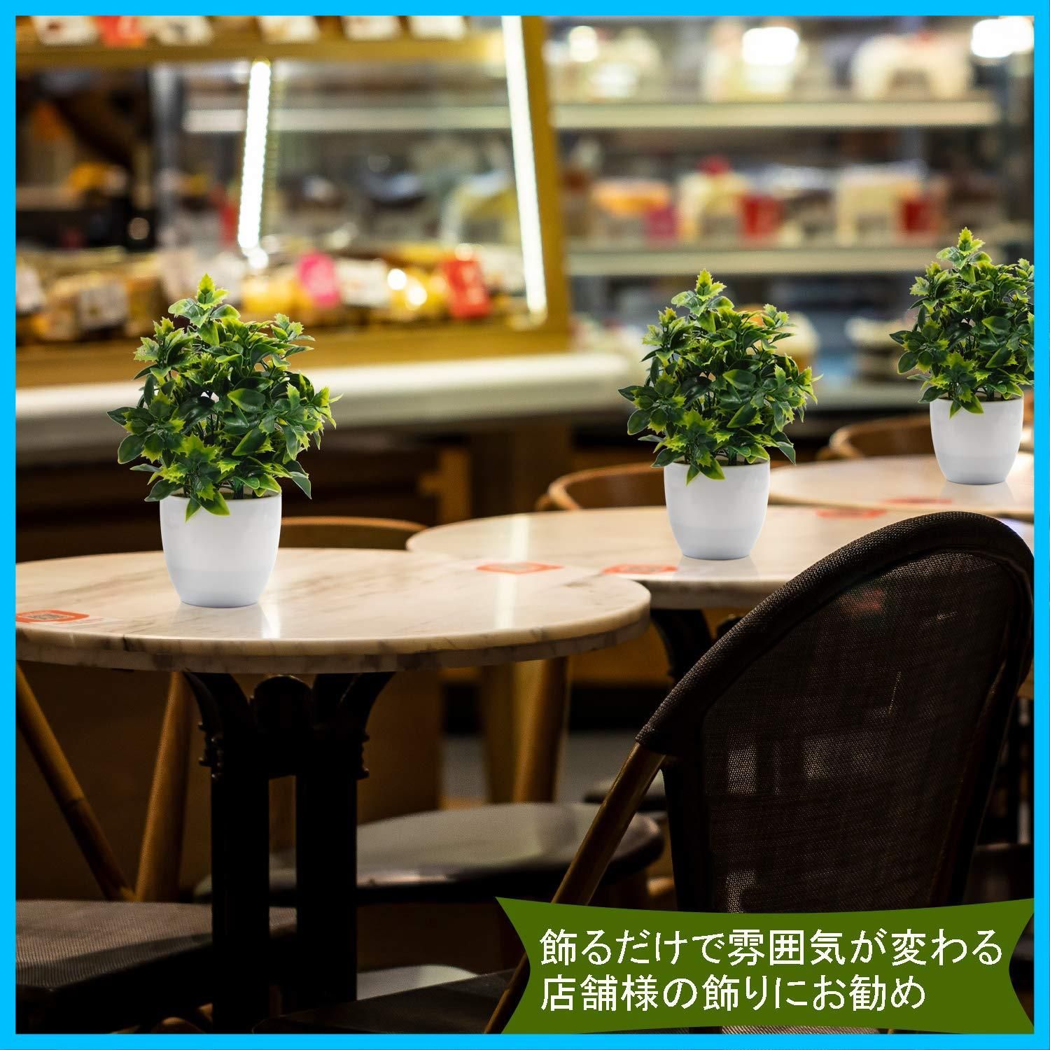 人工観葉植物 贈り物