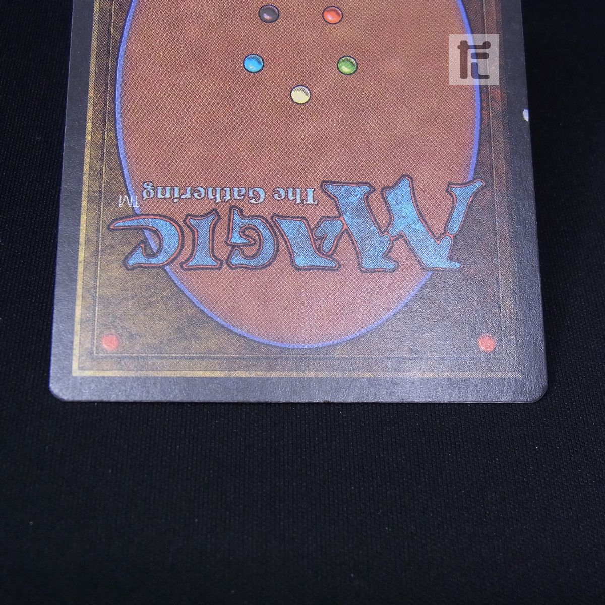 4EDBB】 森の知恵 《日》 / TA23244 バラ売り可* 森の知恵 4ED