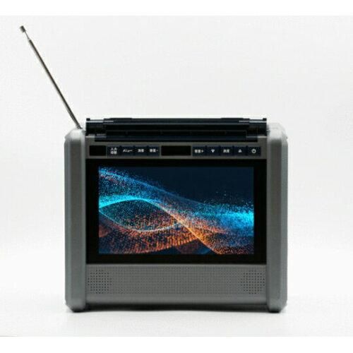 【新品・2営業日で発送】ダイニチ電子 PSTVー600