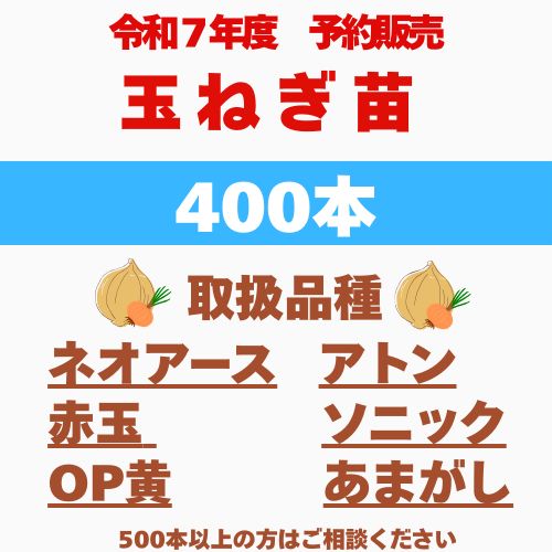 玉ねぎ苗 ターボ400本 もみじ400本 玉ねぎ苗 ターボ400本 もみじ400本 -