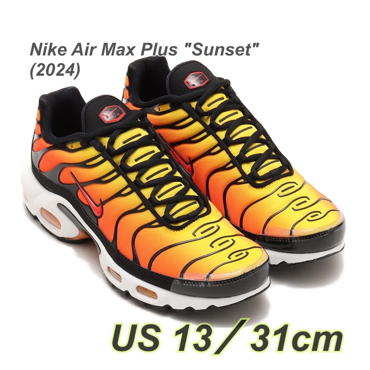 Nike Air Max Plus 