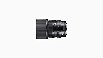 65mm F2 DG DN ソニーE用