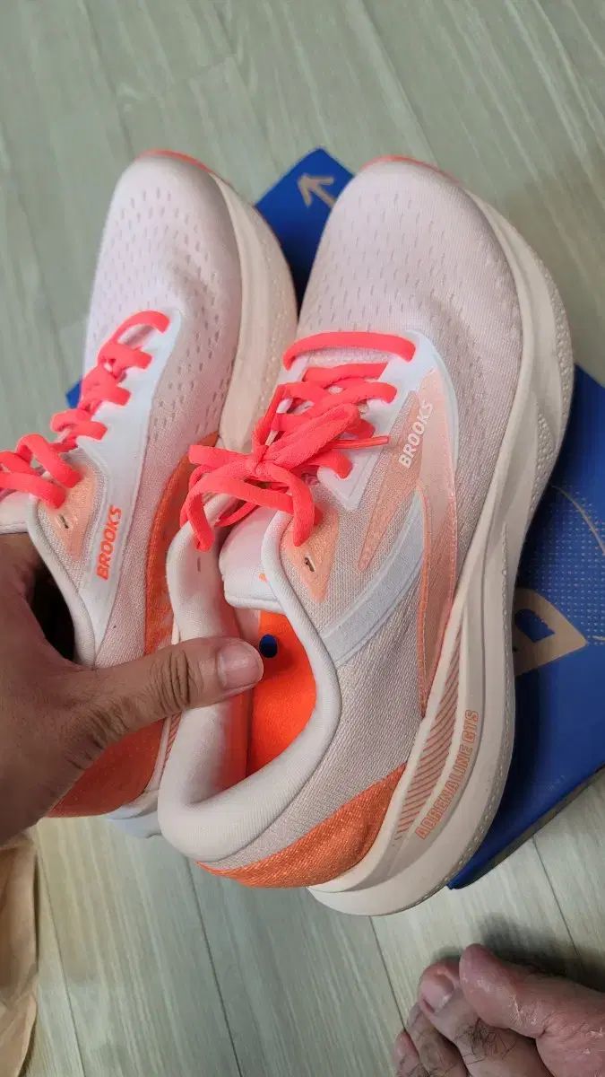 1/50 トラック 非売品 台湾 萬泰物流 dolphin ミニカー 1/50 トラック 台湾 萬泰物流 dolphin ミニカー 1/50 トラック 非売品