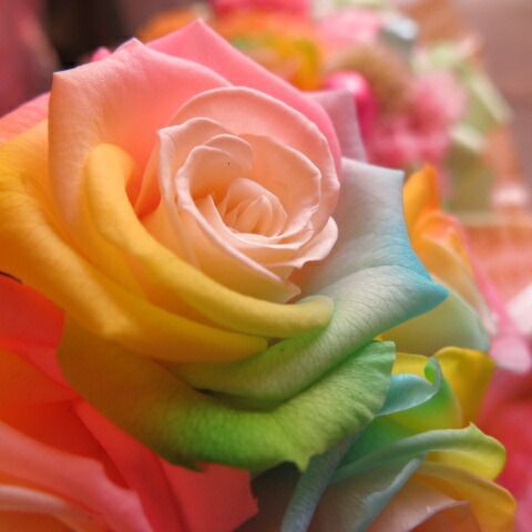 フラワーアレンジメント ディズニー グーフィー入り 花束風 ギフト 箱