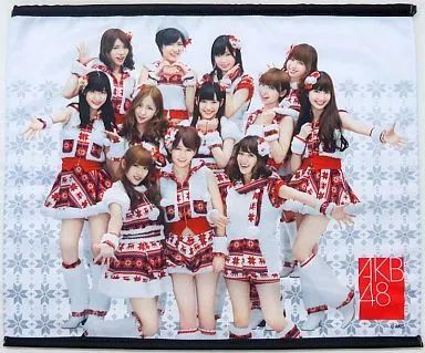 中古】タペストリー(女性) 5 AKB48(ホワイト) タペストリー 「AKB48