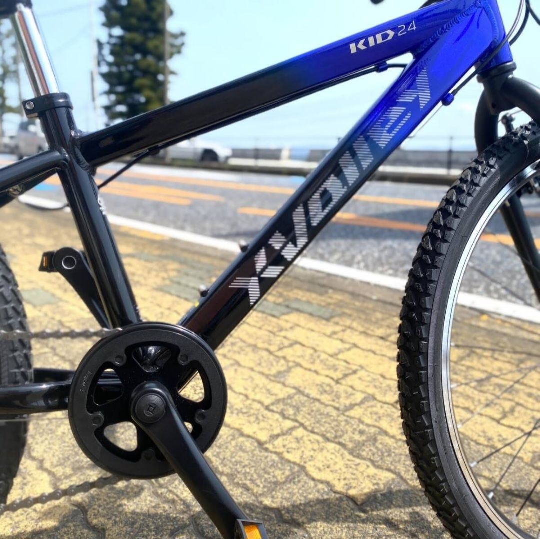 24インチキッズ用自転車 NESTO（ネスト）X-VALLEY KID24 - メルカリ
