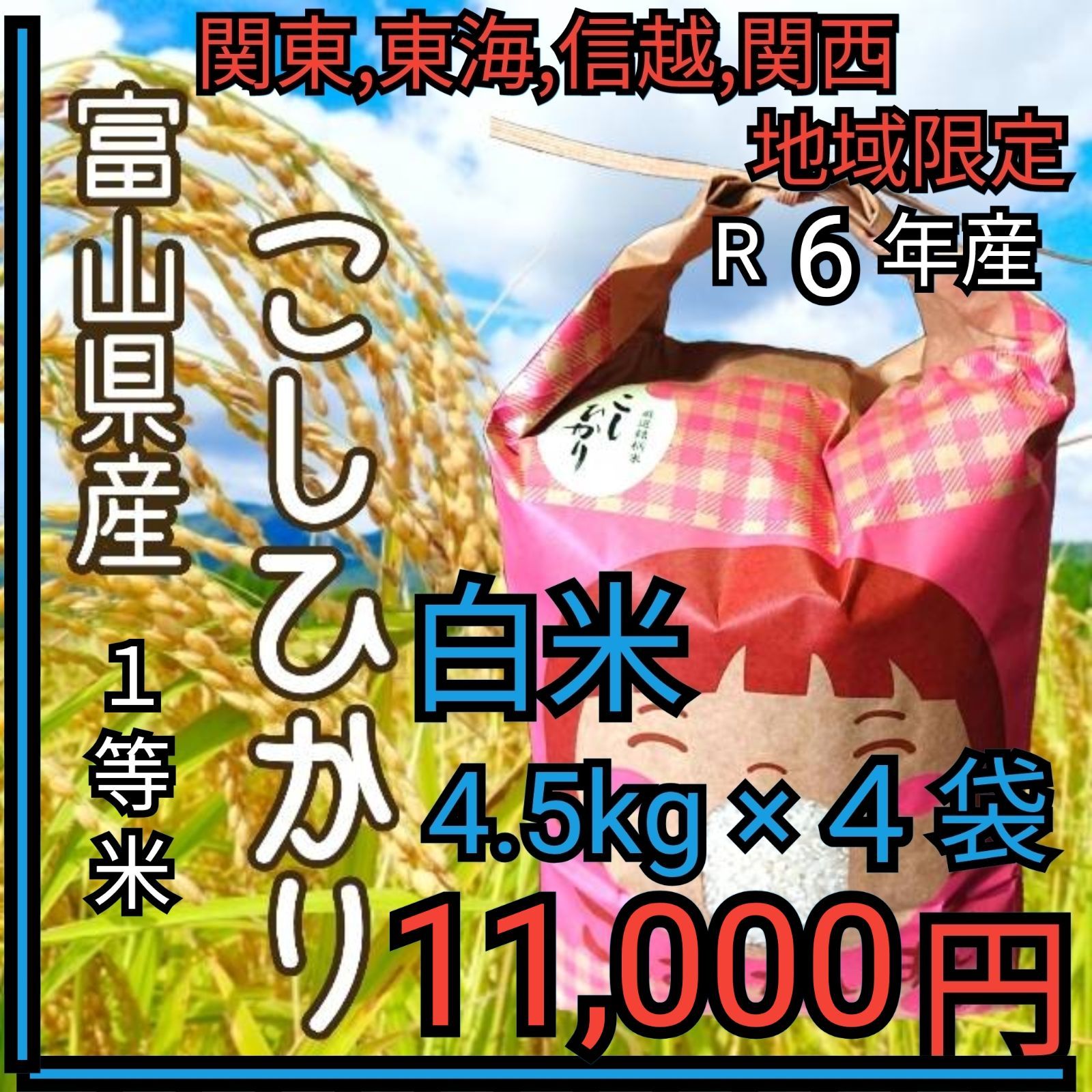 R6年富山県産コシヒカリ白米4.5kg×4袋✳️関東､東海､信越､関西地域限定 