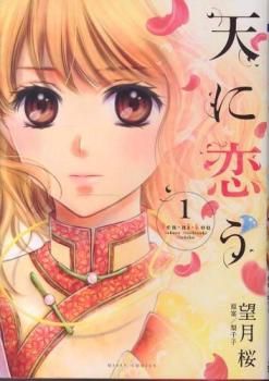 天に恋う すさまじい 1〜17&外伝2冊 全巻セット ☆安心のメルカリ