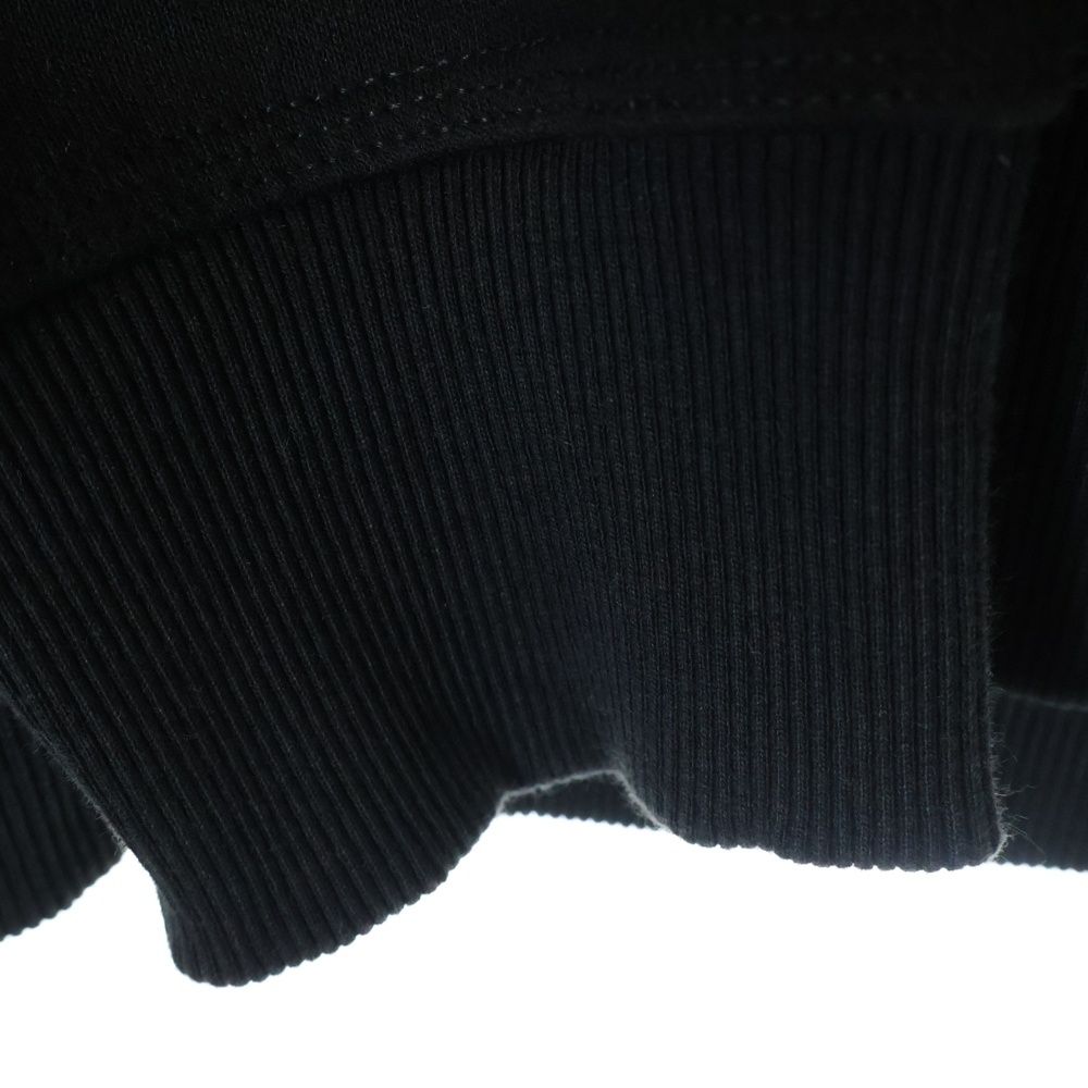 STUSSY (ステューシー) DIZZY STOCK HOODIE 1924932 プルオーバー