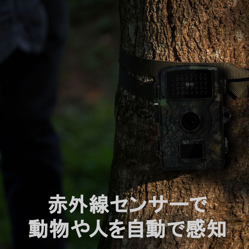 トレイルカメラ 32GBマイクロSDカード付♪ 取付け金具