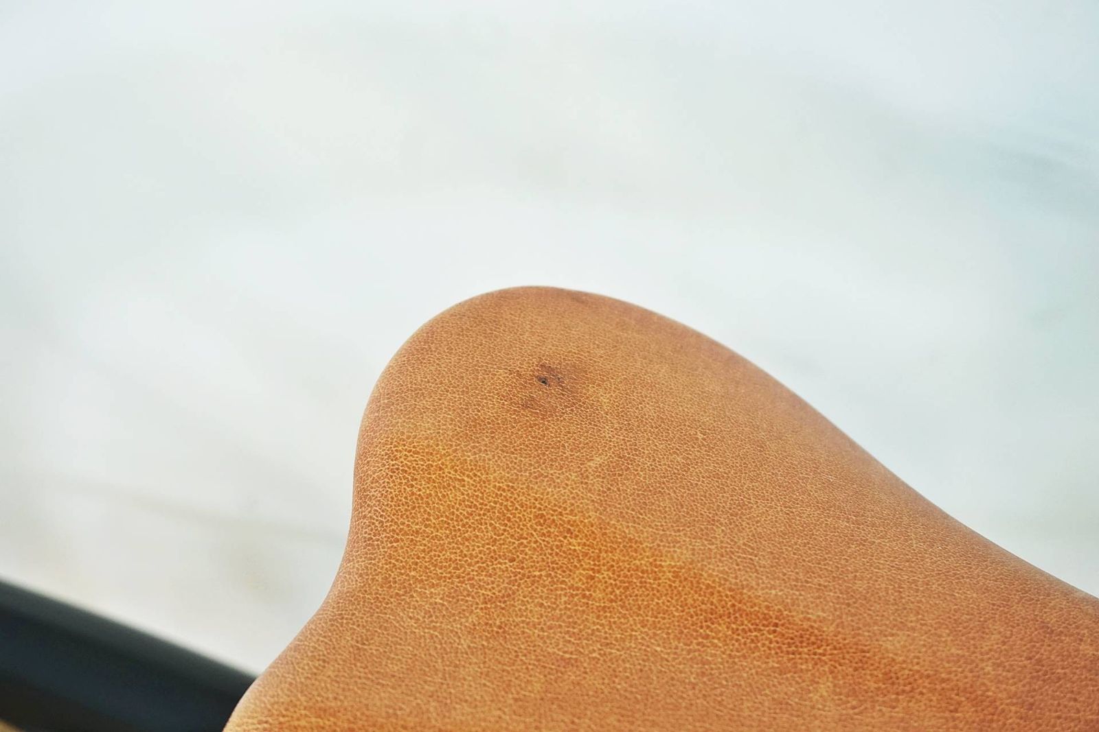 バイチャリ有明店