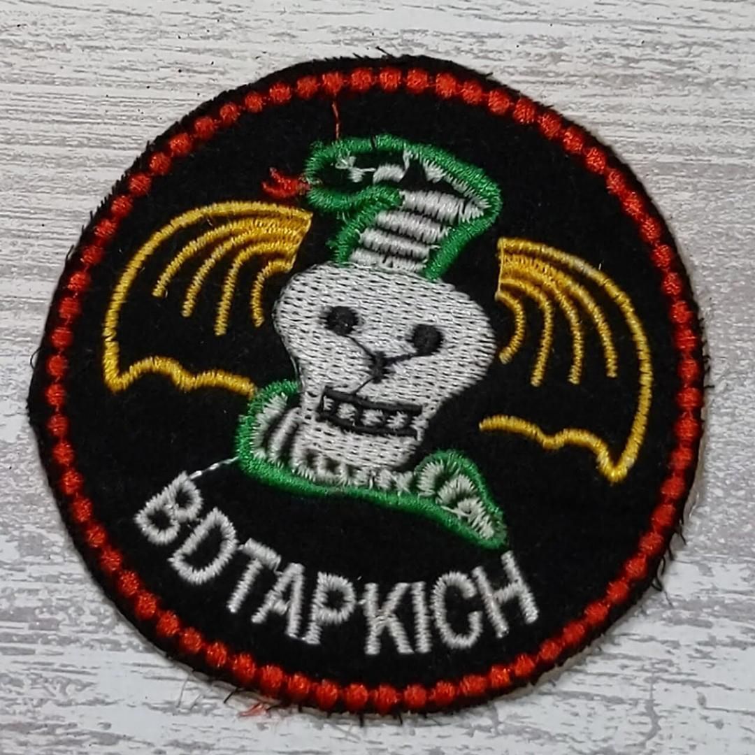 DSN16 スカル 蛇 ドクロ ベトナム 戦争 ワッペン ヘビ スネーク SNAKE