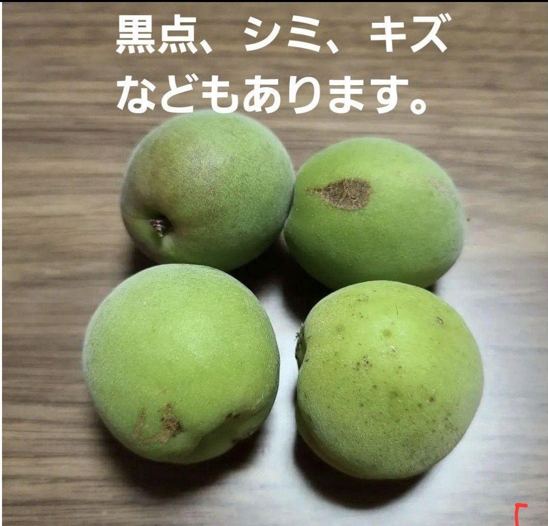 5922eb86c7d0d1d060e6aeb35ac981