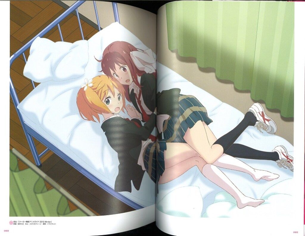 【未使用に近い】【初版】桜Trick　公式ガイドブック　ヒミツのシラバス 桜Trick TVアニメ公式ガイドブック ～ヒミツのシラバス～ (画集