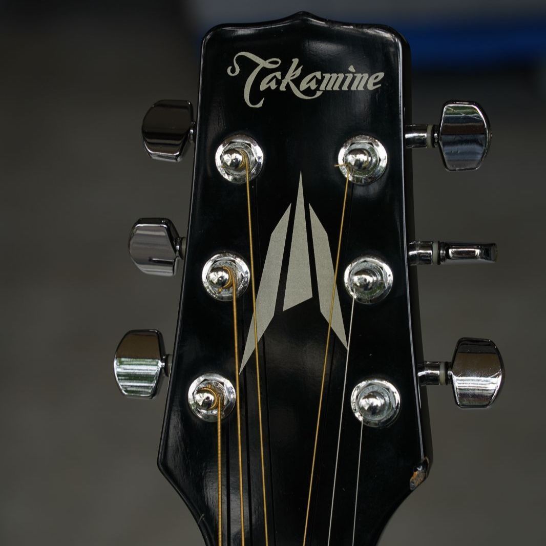 希少ブラックカラー】Takamine T-F1/BK タカミネ アコースティック