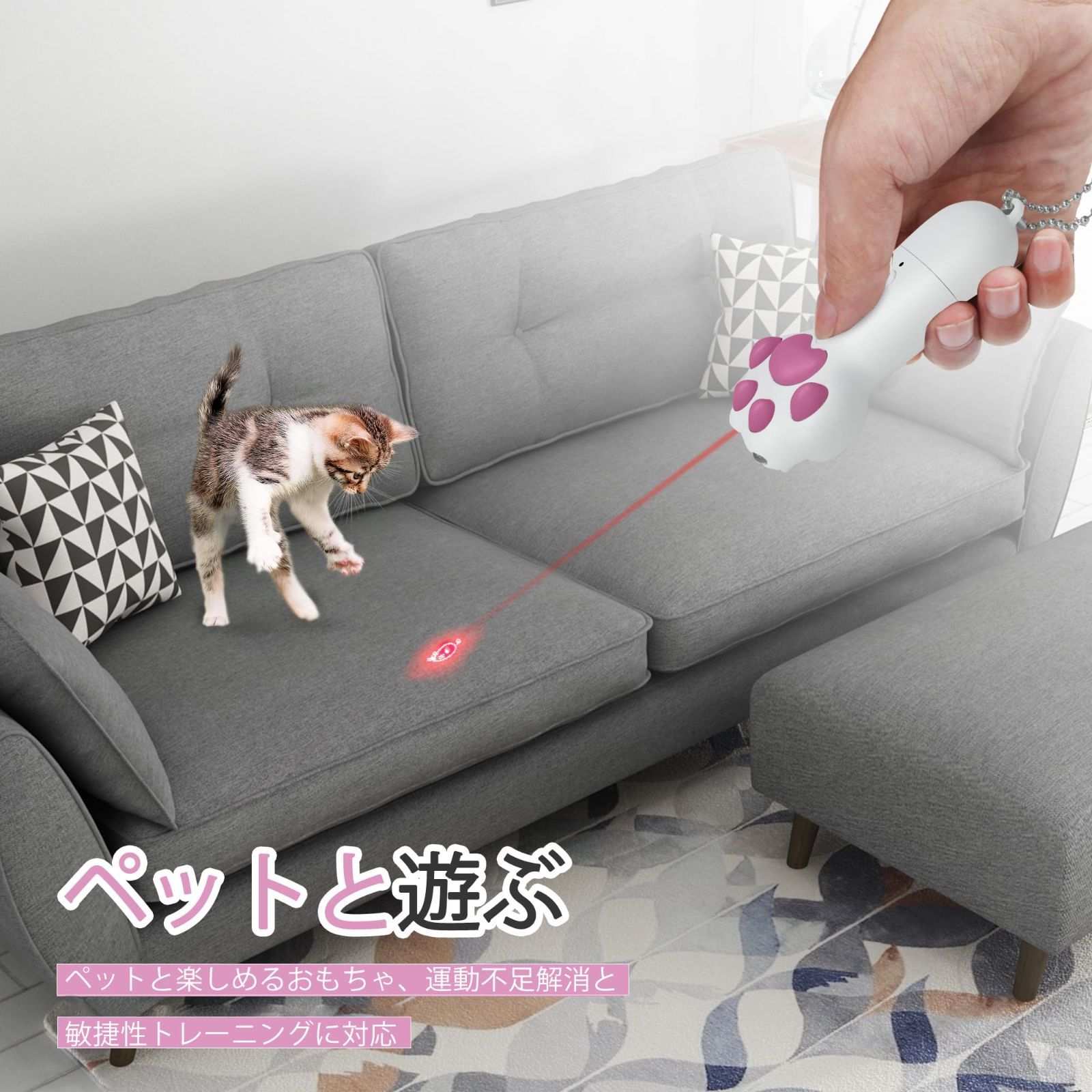 猫 猫