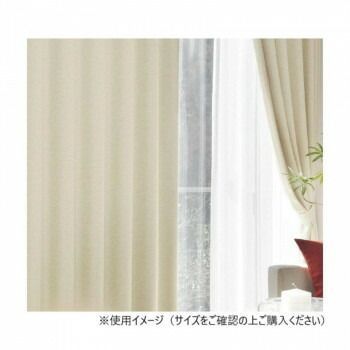 カーテン アール 2P 100X225 BE 725858000225065