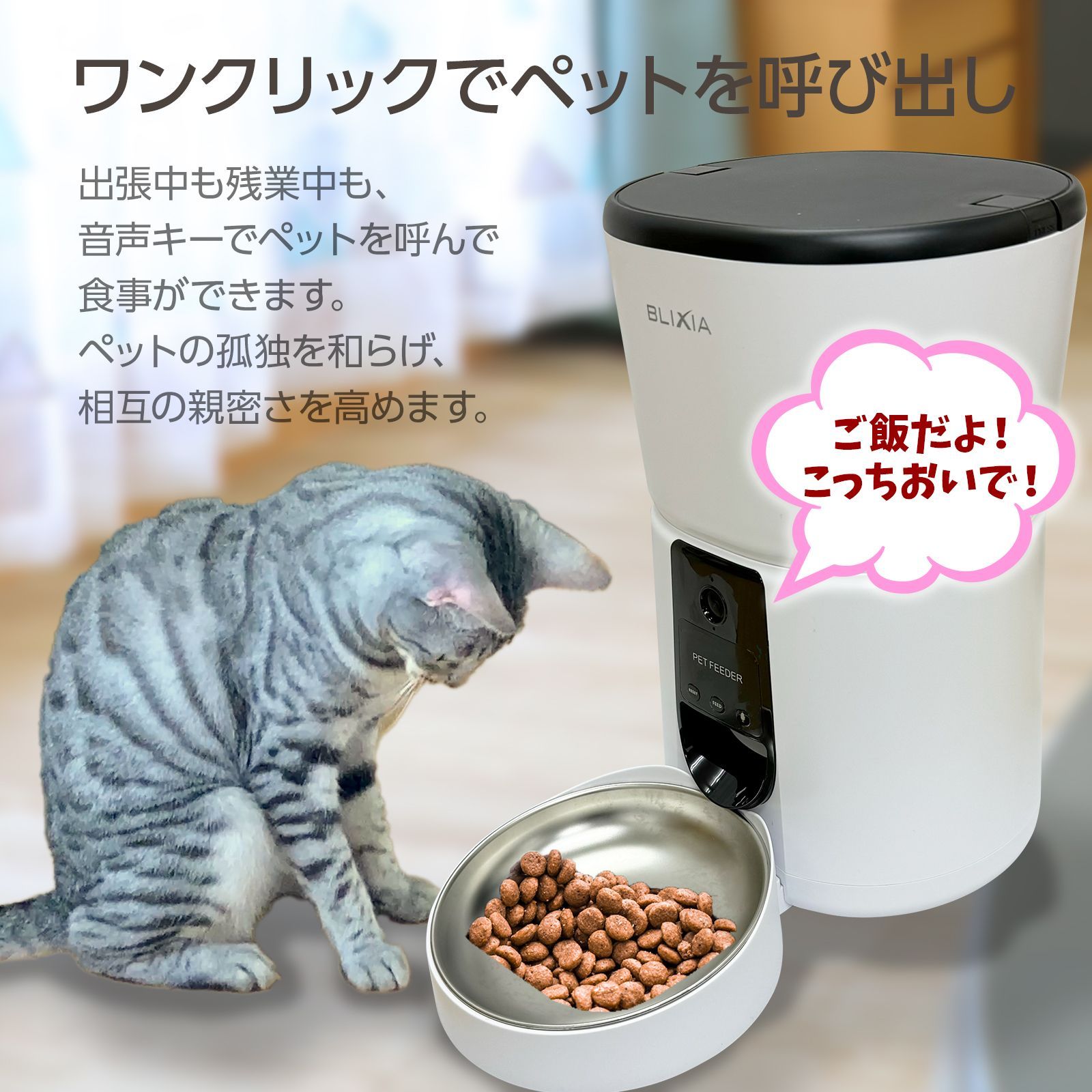 WiFi接続