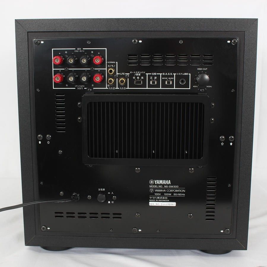 NS-SW300