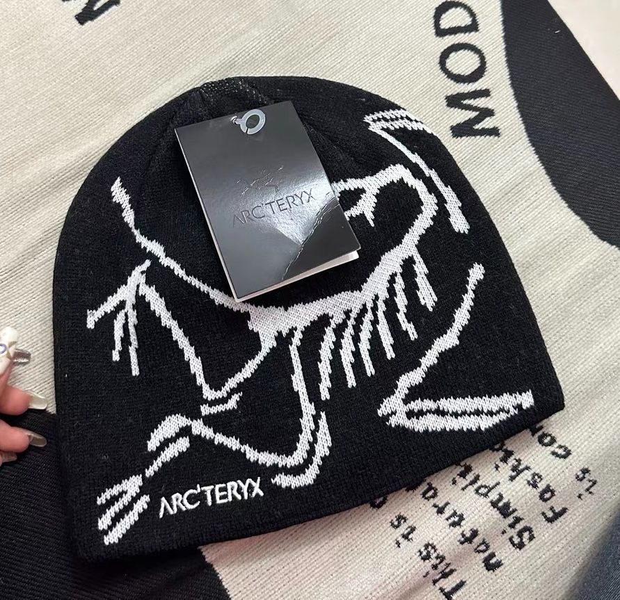 Arc'teryx Bird Head Toque アークテリクス ビーニー 　ニット帽子　ブラック