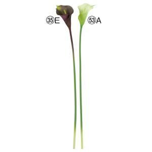 3営業日で発送 リリィ クリームグリーン A-34477-53A 入数 12