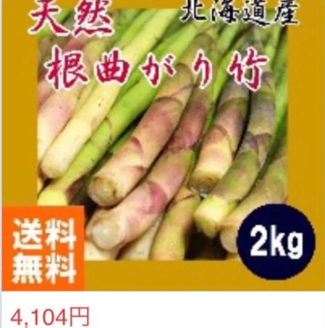 行者ニンニク　山菜　アイヌネギ 送料無料 春山菜 野菜 行者にんにく アイヌネギ 500g 北海道産