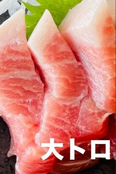 戸井産 本鮪