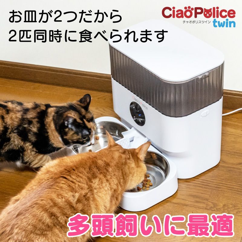 2匹 2口