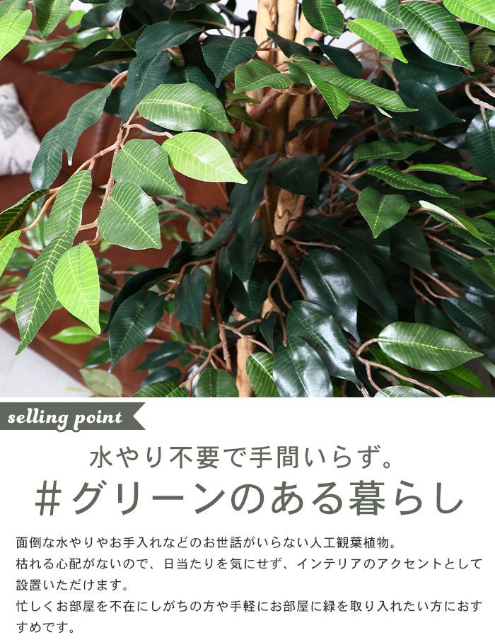 在庫処分セール|観葉植物 人工 フェイクグリーン フィカス 高さ 170cm 7号鉢対応 人工 造花 フェイク グリーン シンプル オフィス おしゃれ 観葉 植物 鉢植え インテリア 大型 高い 大きい 室内 鉢 お手入れ 不要 間仕