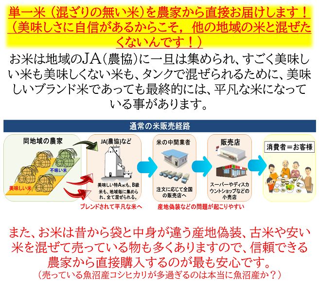 新米 減農薬 新潟こしひかり玄米30kg ×10袋 令和5年産新米 新潟県三条