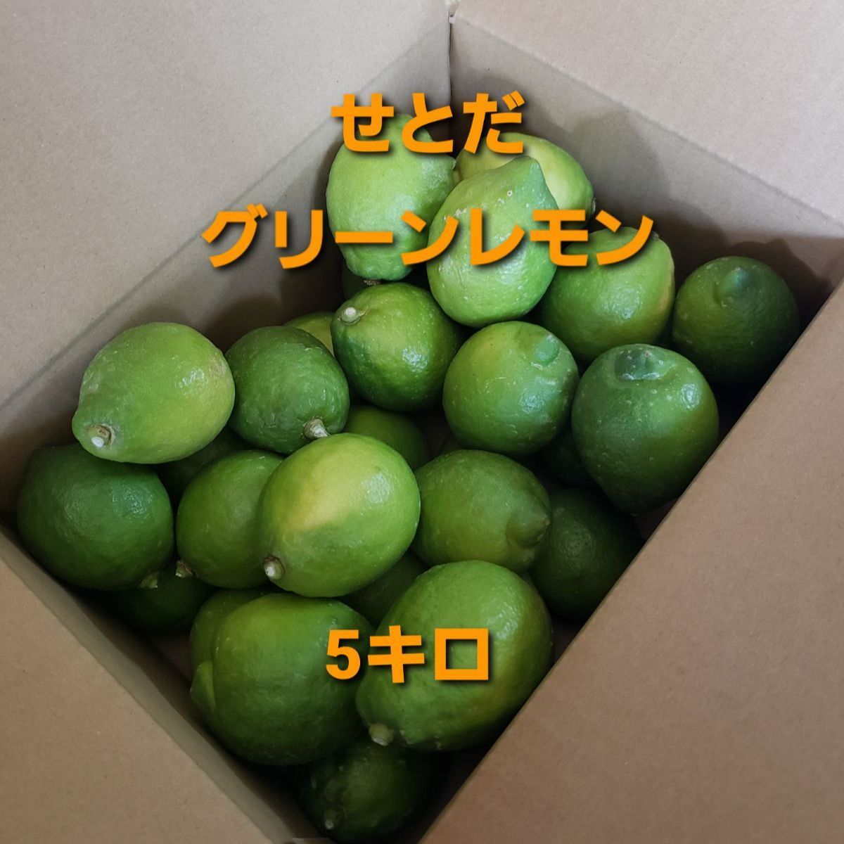 訳あり！！ ☆せとだレモン☆ コンパクト箱 12個 広島県瀬戸田産 - 果物