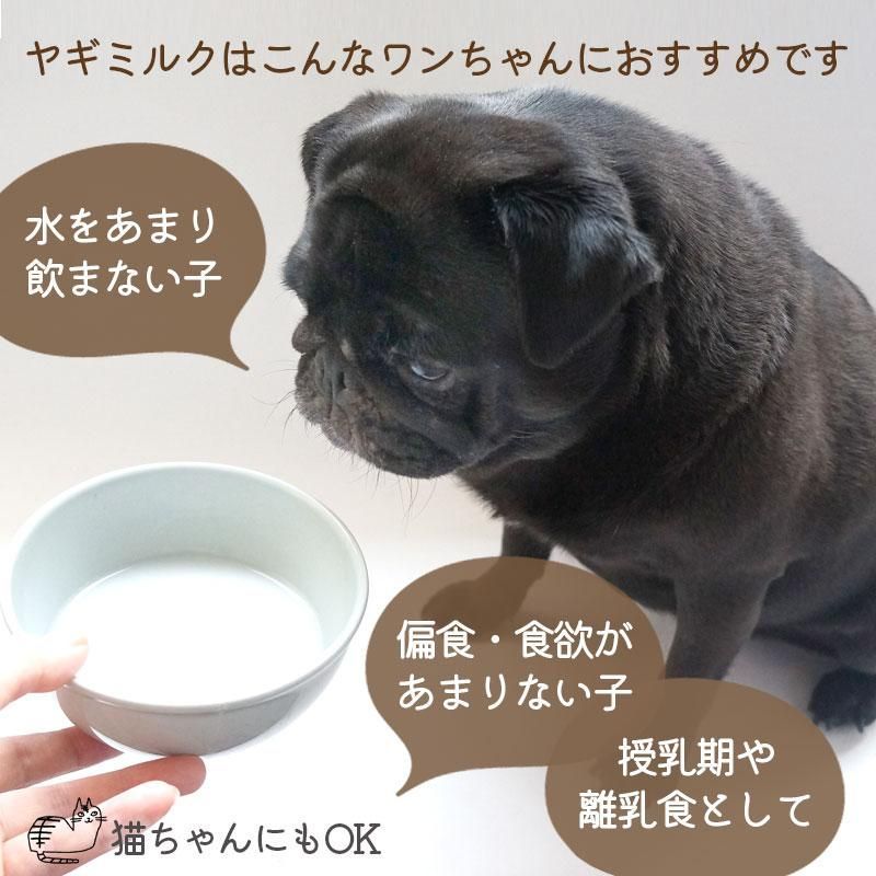 【特価】ヤギミルク パウダー 100g  愛犬のおやつ・うまかみかみ　賞味期限2025.8.30