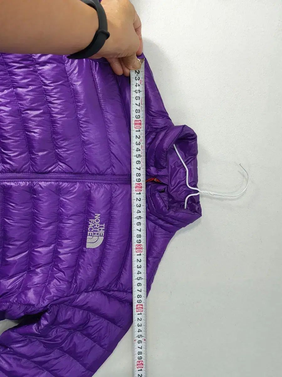 パープル レディース