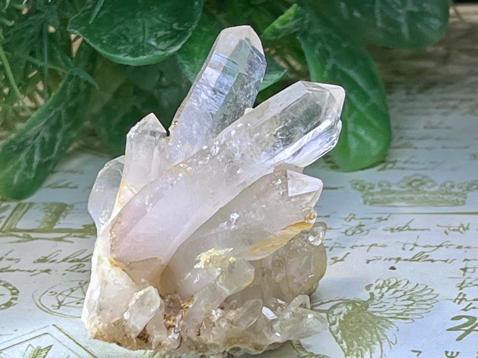 巨人 読売ジャイアンツ 2025ドラフト 直筆サイン色紙セット 竹丸和幸