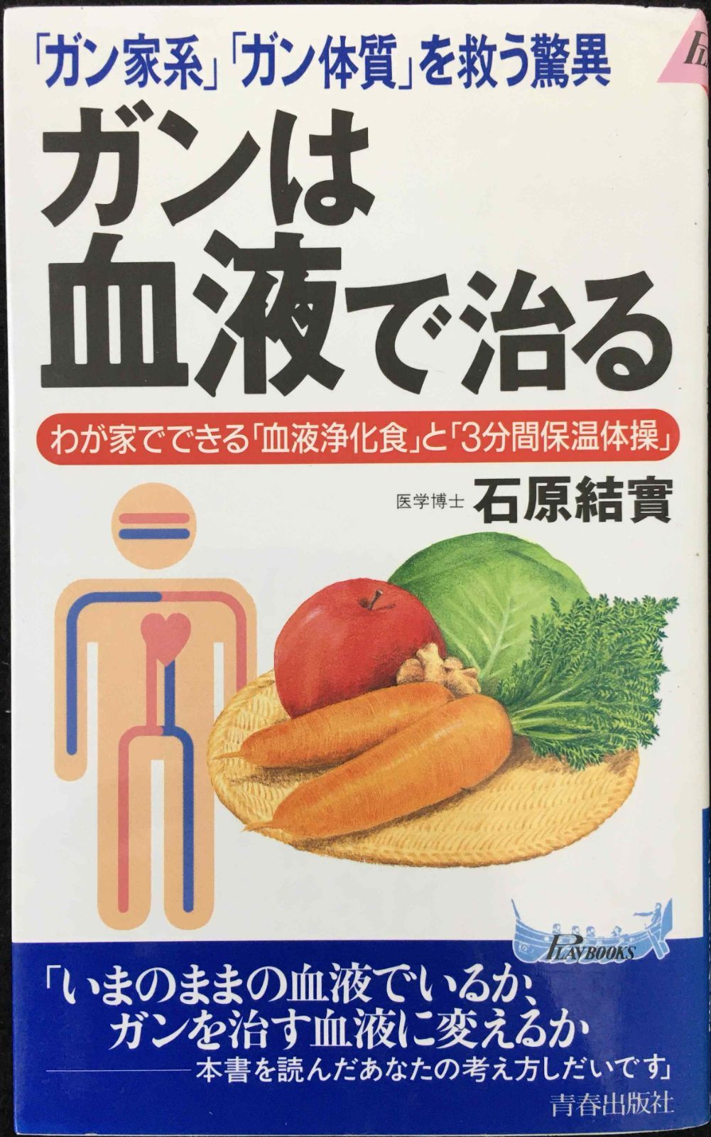 HOW TO RAP 104人のラッパーが教えるラップの神髄 (P-Vine Books
