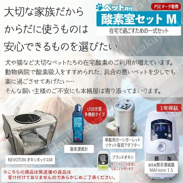 フェレット