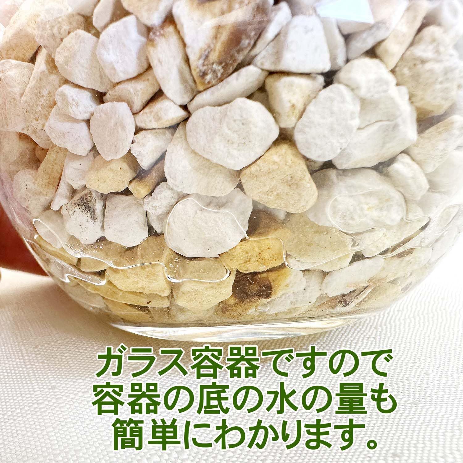 ブルーミングスケープ
