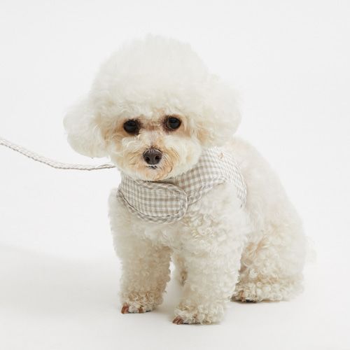 louisdog ルイドッグ