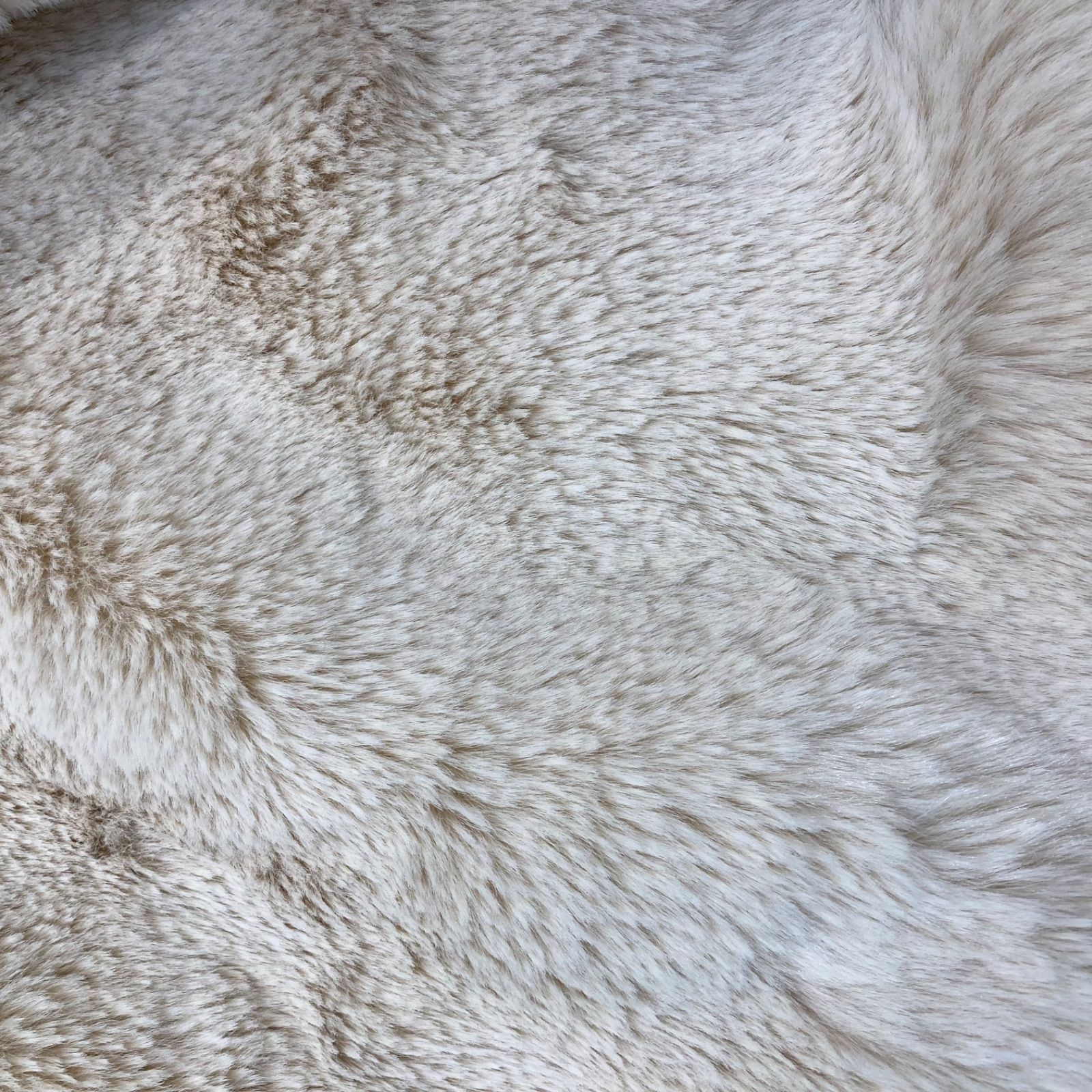 ライトベージュ サイズ