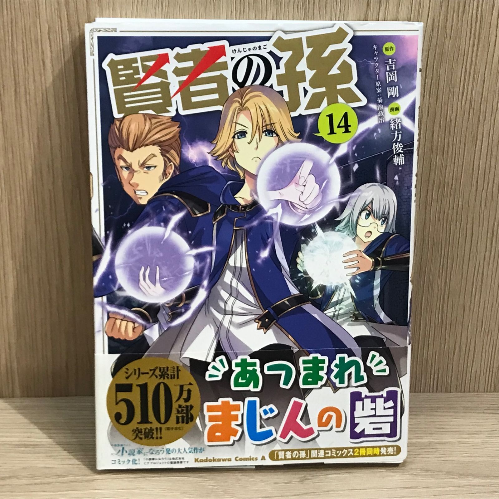 初版】賢者の孫 14巻/【作者】吉岡剛、緒方俊輔/GF-0225021951