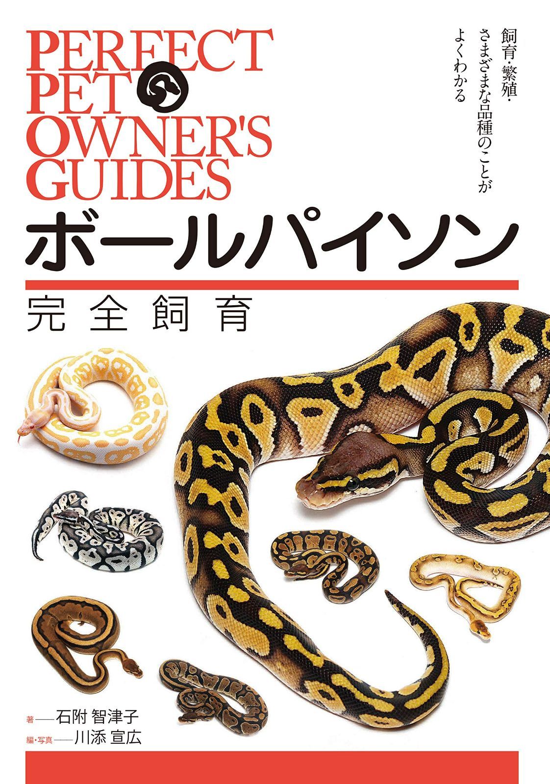 ボールパイソン 完全飼育: 飼育、繁殖、さまざまな品種のことがよくわかる (PERFECT PET OWNER'S GUIDES) - メルカリ