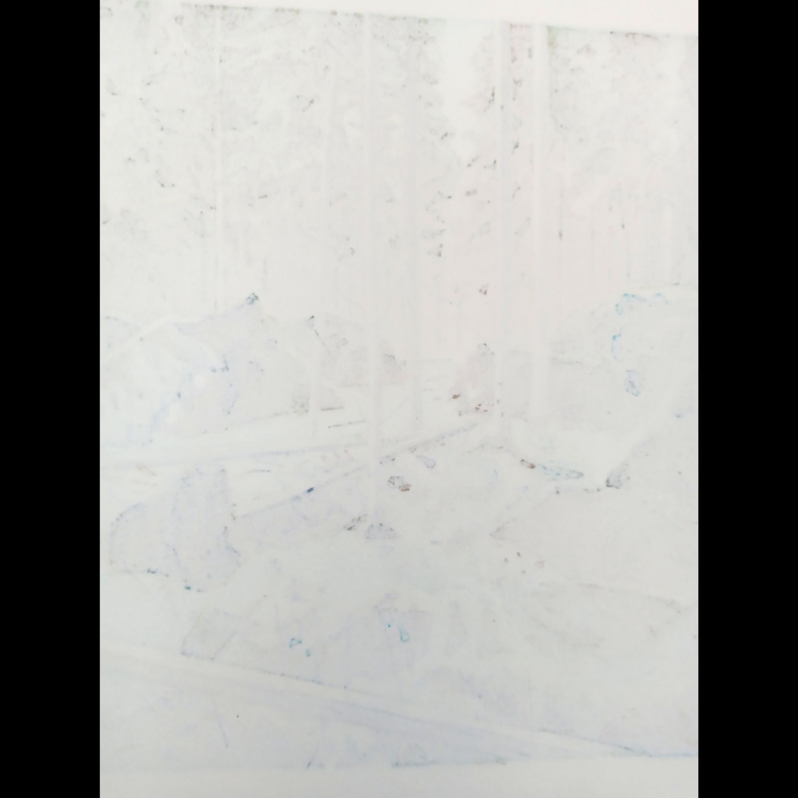 新品】木版画 壬生川純一「倒木の森」限定ナンバー付き！ ☆送料