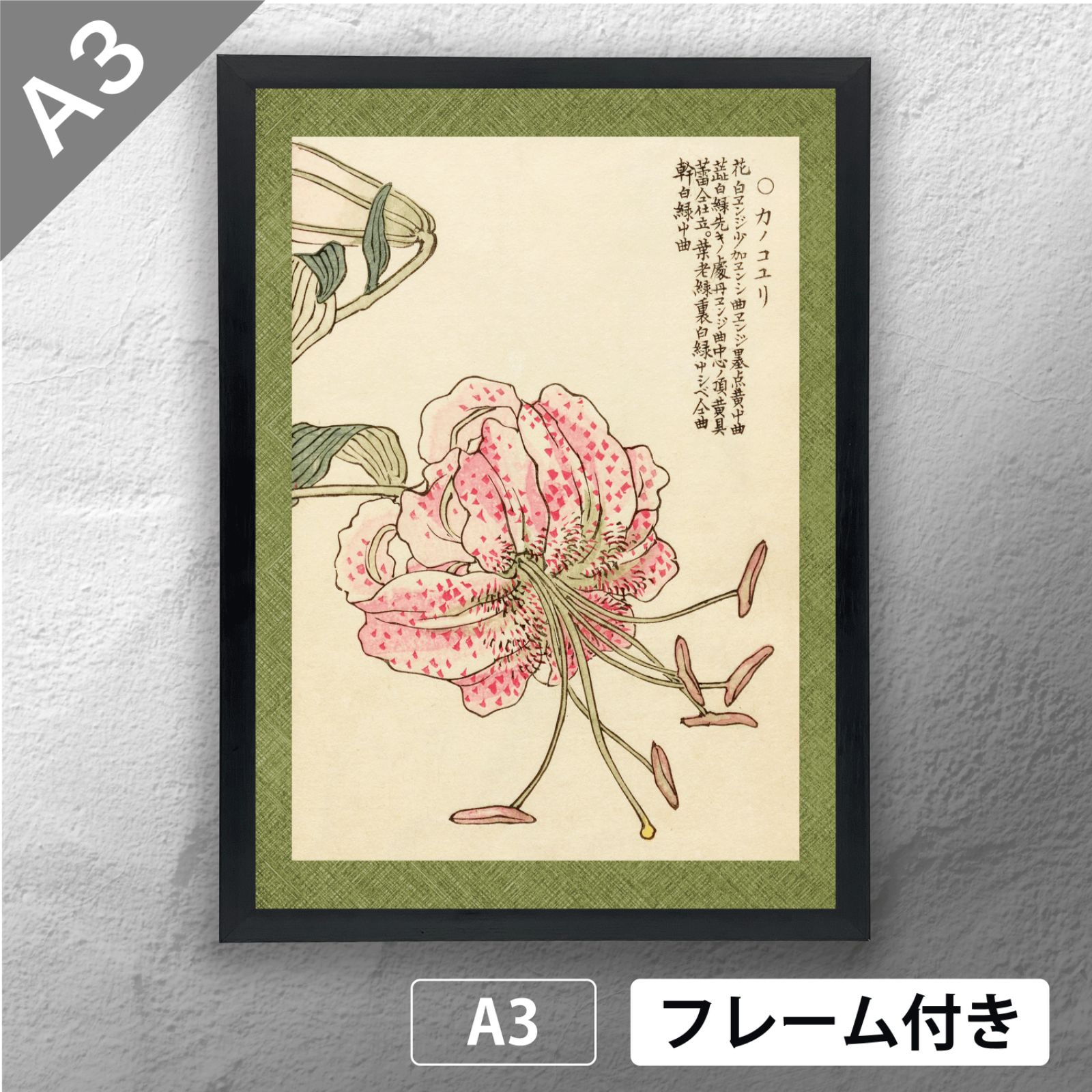 【絵画】ボタニカルアート　「かのこゆり」原画 ボタニカルアート 「かのこゆり」原画