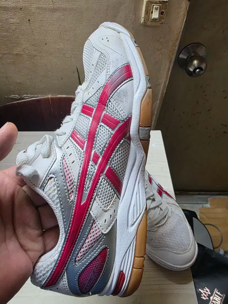 asics アシックス 宝くじ fl5 バレーボール バドミントン スポーツ大学入試 260mm