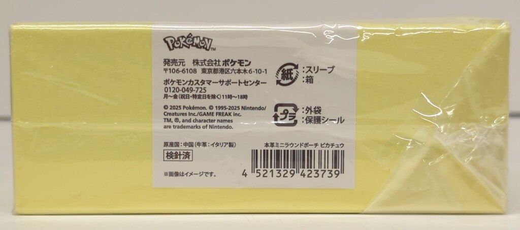 ポケットモンスター ピカチュウ